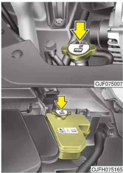 KIA Optima PHEV (2017) - Recommended coolant - 1