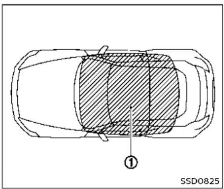 Top-down schematic of a car showing a shaded rectangular area with an arrow pointing to the center (no text or symbols present)