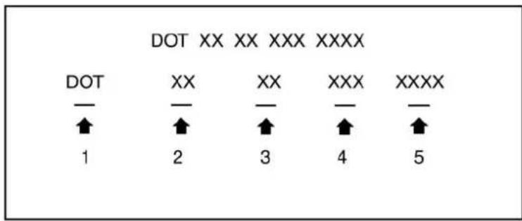DOT XX XX XXX XXXX DOT XX XX XXX XXXX ↑ ↑ ↑ ↑ ↑ 1 2 3 4 5