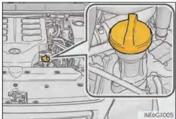 LEXUS GX 460 (2018) - ■ Adding engine oil - 1