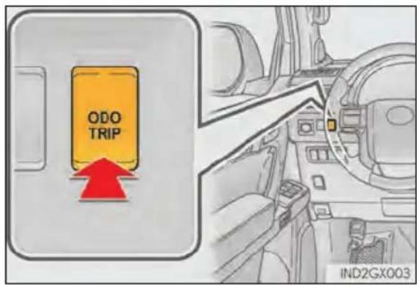 ODO TRIP IND2GX003