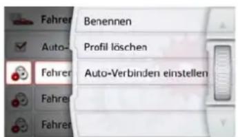Fahrer Benennen Profil löschen Auto-Verbinden einstellen