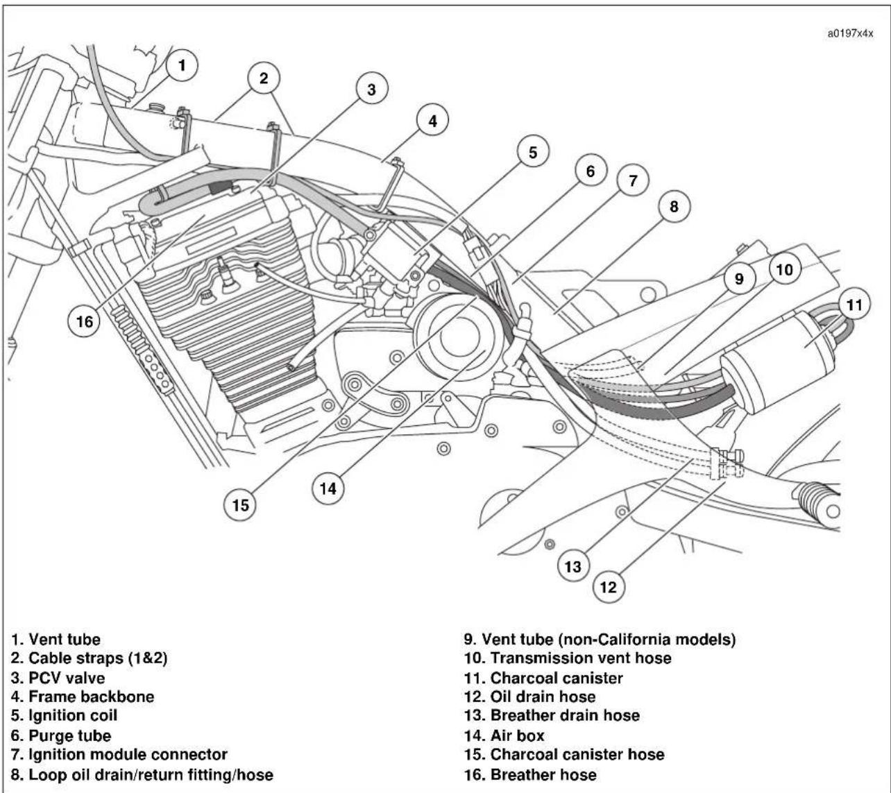 BUELL Blast (2004) - Purge Tube - 1