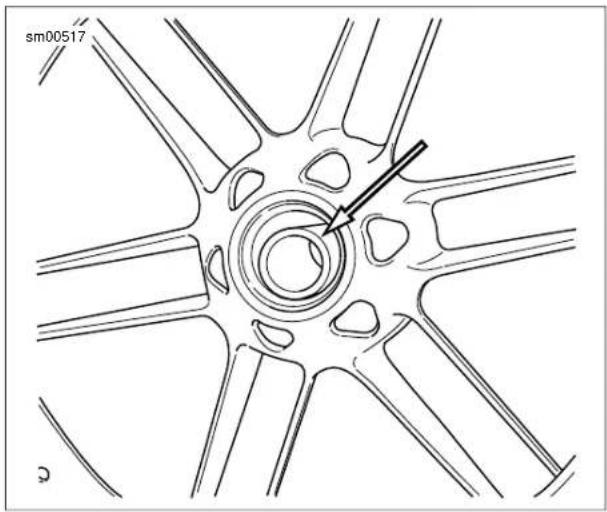 BUELL XBR Firebolt (2009) - Bearing Removal - 5