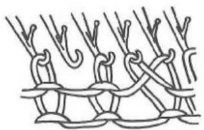 Zippy Plus - How to knit a crew neckband to match the double welt - 5