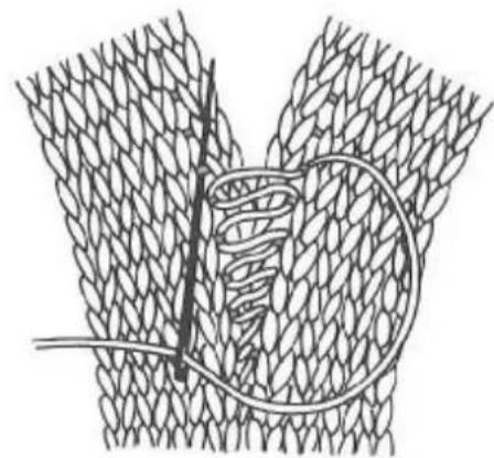 Zippy Plus - Knit 1 Purl 1 Rib - 1