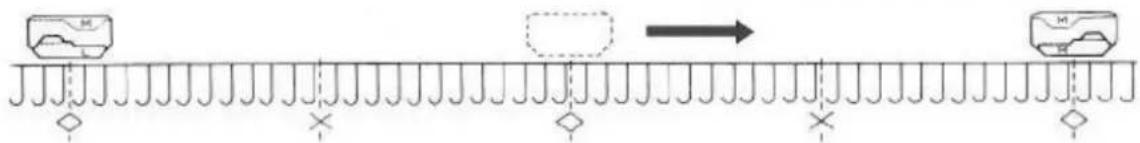 Zippy Plus - Single motif variation - 4