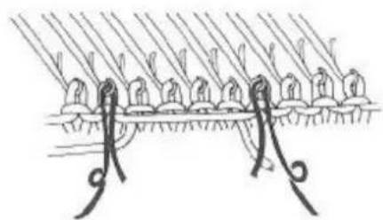 Zippy Plus - Now put both side levers back to ▼ - 2
