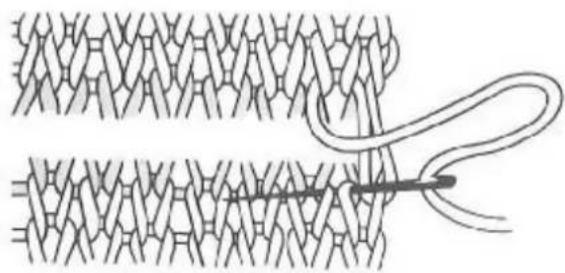 Zippy Plus - Grafting - 1