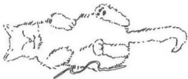 Zippy Plus - Slip stitch - 1