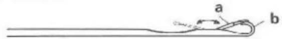 Zippy Plus - Replacing a damaged needle - 1