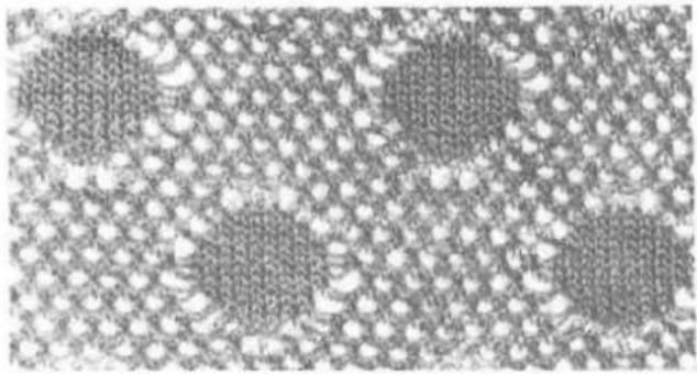 Zippy Plus - Punch lace - 1