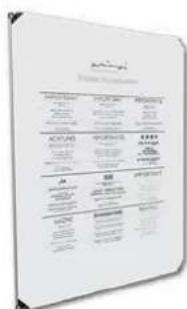 Amina Evolution AIW350iN-S200 loudspeaker - 2