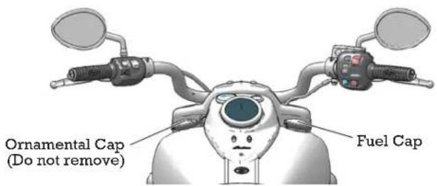 Indian Chieftain Dark Horse (2016) - Instruments, Features and Controls Fuel Cap - 1