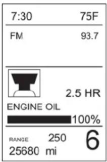 Indian Chieftain Dark Horse (2016) - Engine Hours/Oil Life - 1