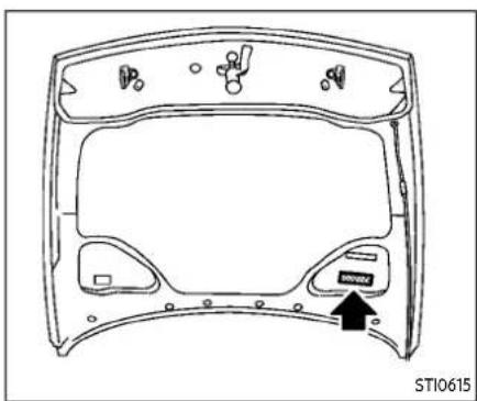 Technical line drawing of a car front panel with buttons and mounting holes (no text or symbols)
