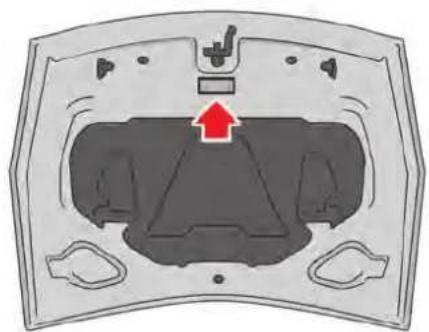 NISSAN GT-R (2016) - TIRE AND LOADING INFORMATION LABEL - 1