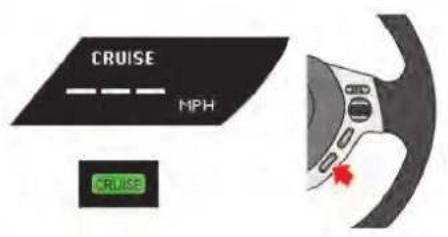 CRUISE MPH CRUISE