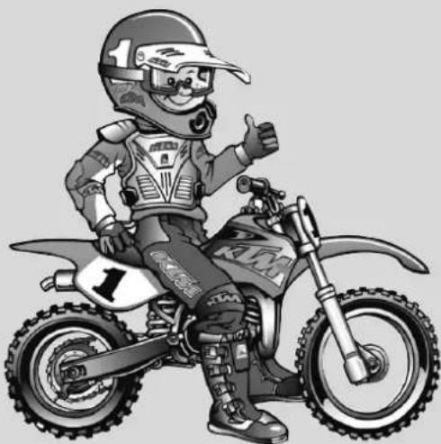 KTM 85 XC (2009) - ENVIRONMENT - 1