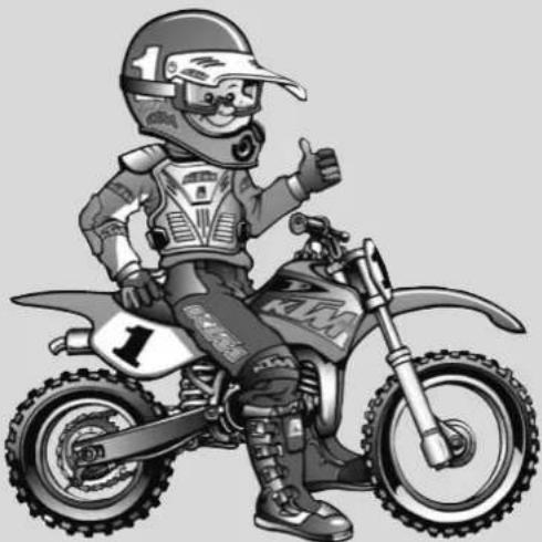KTM 85 XC (2008) - ENVIRONMENT - 1