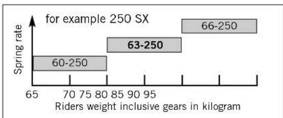 KTM 125 SXS (2007) - Pivot bearing - 4