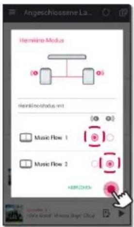 Angeschlossene La... Hemikino Modus HemikinoModus mt Music Flow 1 Music Flow 2 ADD/CHEN