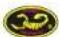 Scorpion Tribunus_12_130 - Scorpion User Guide for - 1