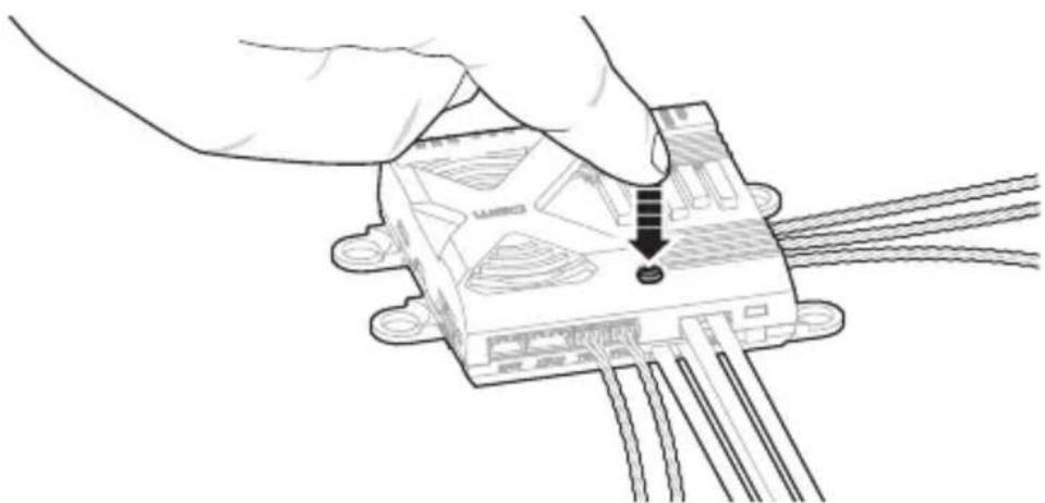 SPEKTRUM AR12310T - How To Bind the PowerSafe Receiver - 1