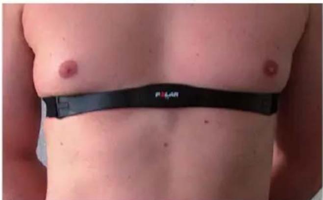 Ergo-fit Cardio Line 400 - POLAR-Gurt und POLAR-Sender - 1