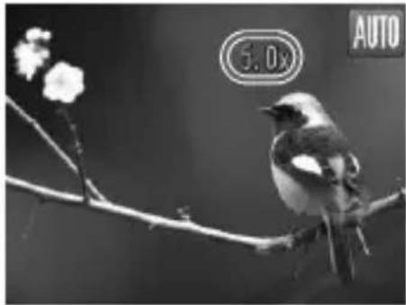 CANON PowerShot SD970 IS - Move the zoom lever toward [♠]. - 1