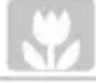 CANON PowerShot SD970 IS - Scene Icons - 14