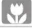 CANON PowerShot SD970 IS - Scene Icons - 16