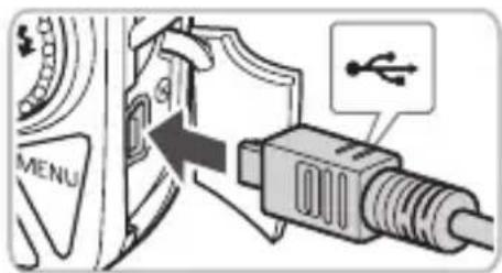 CANON PowerShot SD970 IS - Macintosh - 2