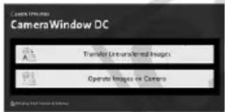 CANON PowerShot SD970 IS - Windows - 3