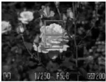 CANON PowerShot SD970 IS - Changing the Composition with the Focus Lock - 1