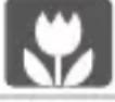 CANON PowerShot SD970 IS - Scene Icons - 18