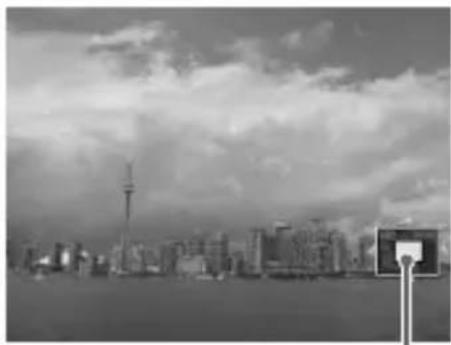 CANON PowerShot SD970 IS - Magnifying Images - 2