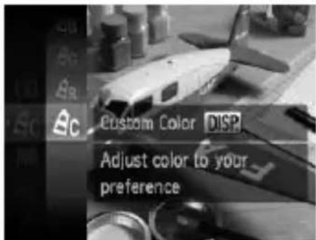 CANON PowerShot SD970 IS - Custom Color - 1