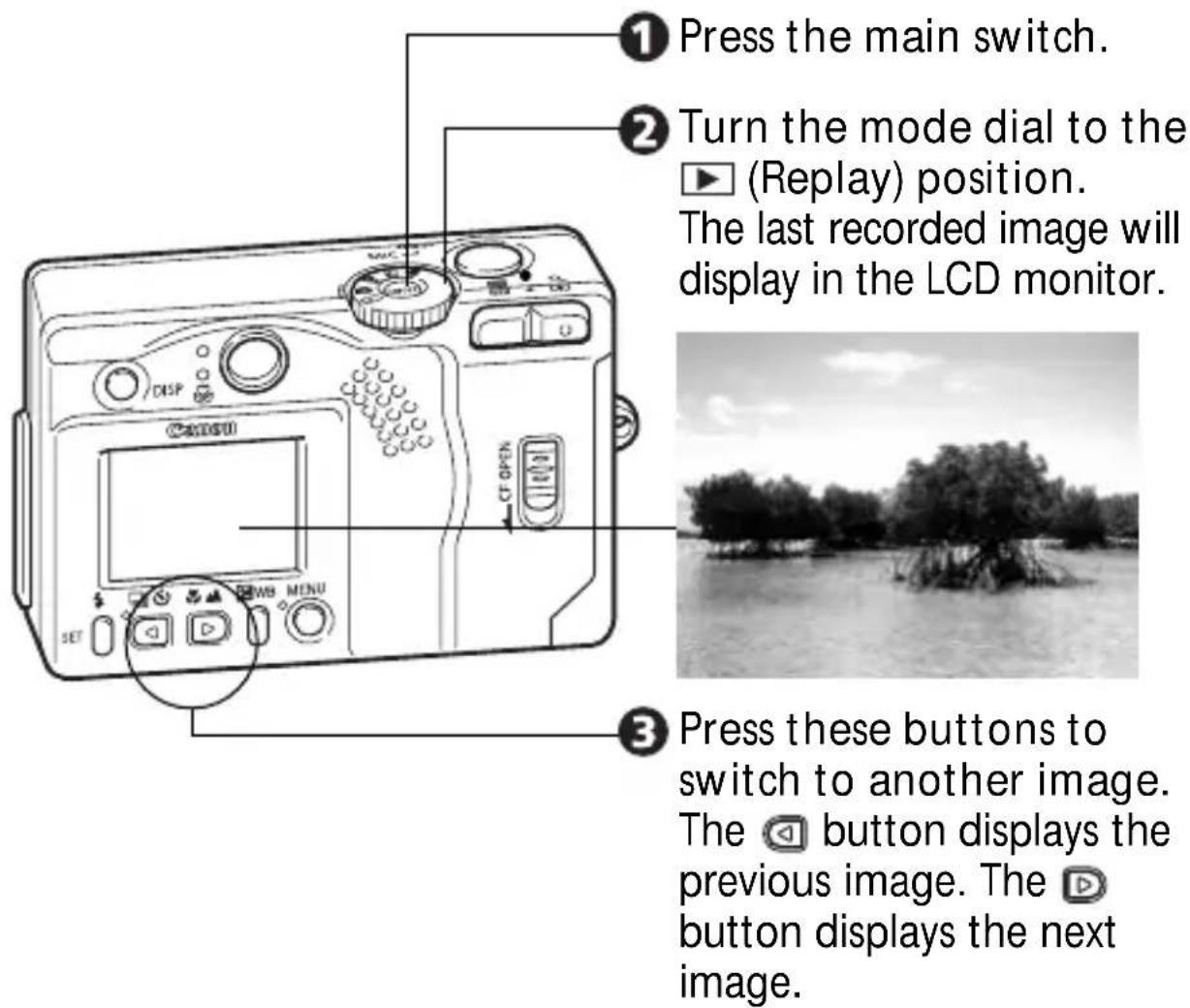 CANON PowerShot S300 - ▶ Replaying (Single Image Replay) - 1