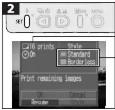 CANON PowerShot S300 - Resuming Printing - 2