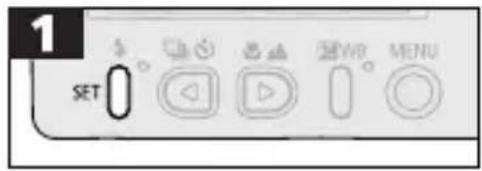 CANON PowerShot S300 - Pausing and Resuming Auto Play - 1