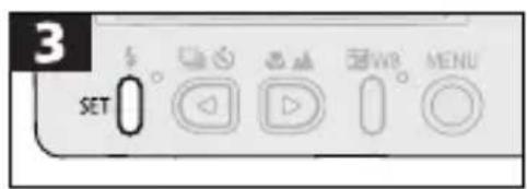 CANON PowerShot S300 - Protecting Images - 3