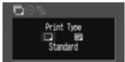 CANON PowerShot S300 - Setting the Print Style - 3