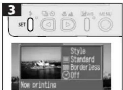 CANON PowerShot S300 - Printing the Displayed Image - 3