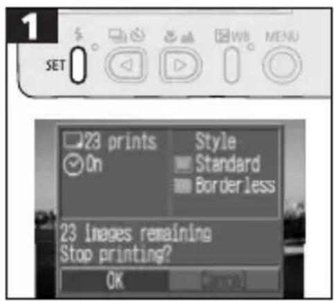 CANON PowerShot S300 - Stopping Printing - 1