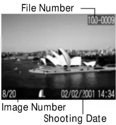 CANON PowerShot S300 - Replay Mode (Standard Display) - 1
