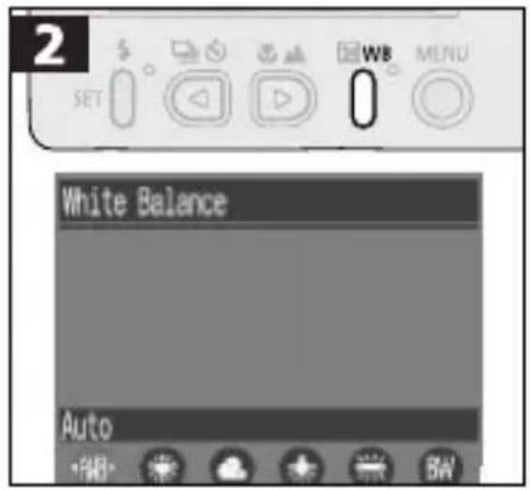 CANON PowerShot S300 - WB Setting the White Balance - 2