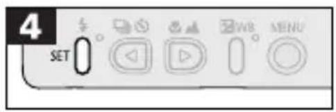 CANON PowerShot S300 - Setting the Language - 4
