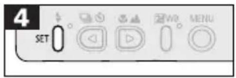 CANON PowerShot S300 - Setting the Video Signal Format - 4