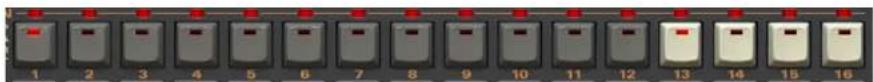D16 Nepheton - Length of the pattern (part) - 2